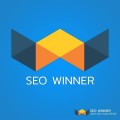 seowinnercom