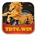 tdtccuereport