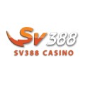 sv388goldtop
