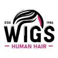 wigshumanhair243