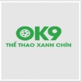 ok9696com
